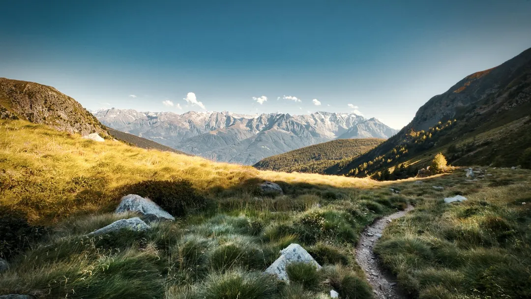 Mon parcours — Qui je suis